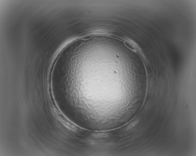 X0000080111435200612151635