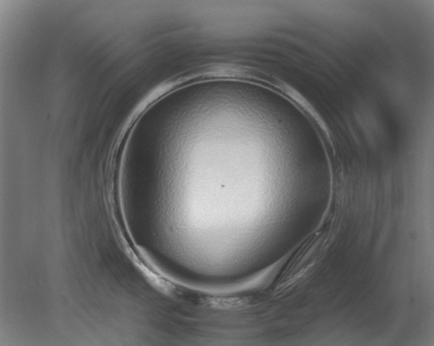 X0000080111437200612151635