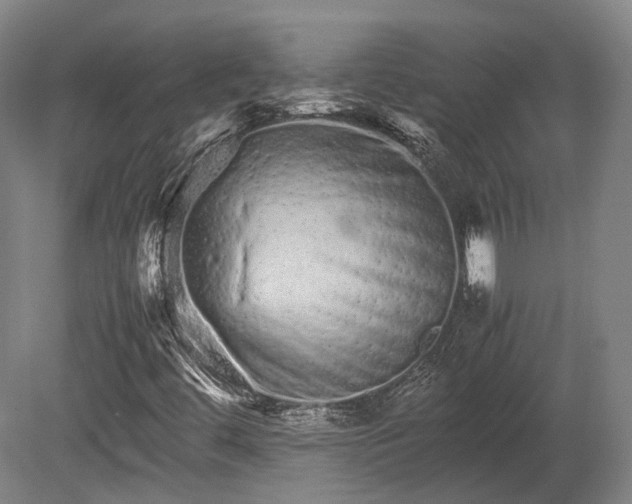 X0000080111444200612151634