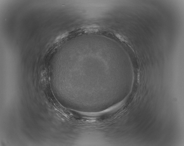 X0000080111445200612151634