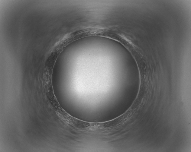 X0000080111447200612151634