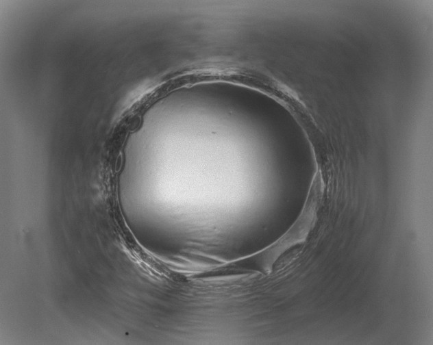 X0000080111448200612151634