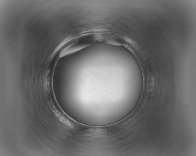 X0000080111450200612151634