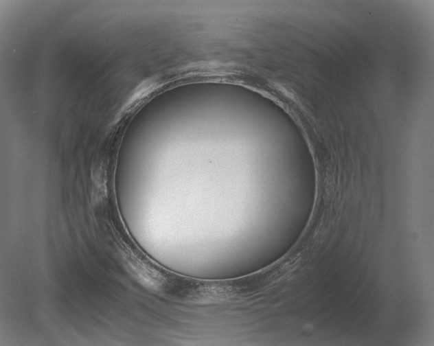 X0000080111451200612151634