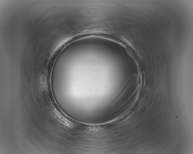 X0000080111452200612151634