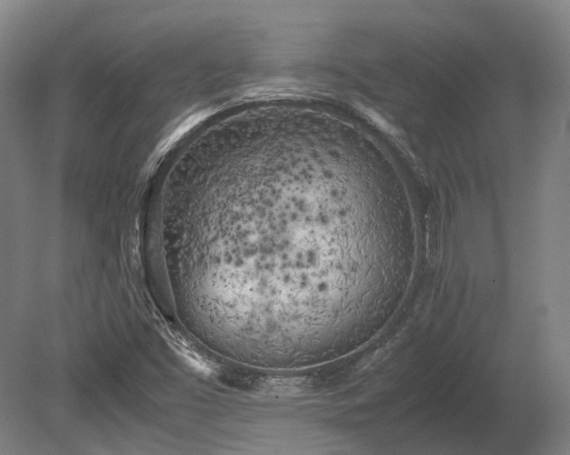 X0000080111453200612151634