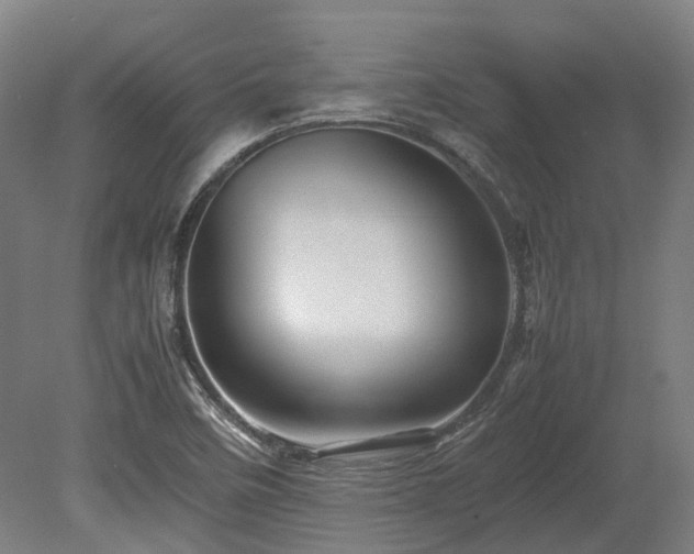 X0000080111458200612151634