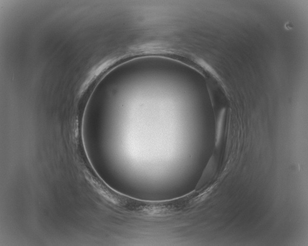 X0000080111461200612151634