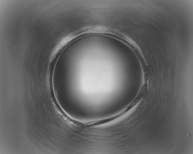 X0000080111464200612151634