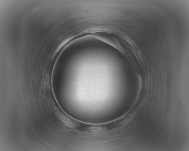 X0000080111465200612151634