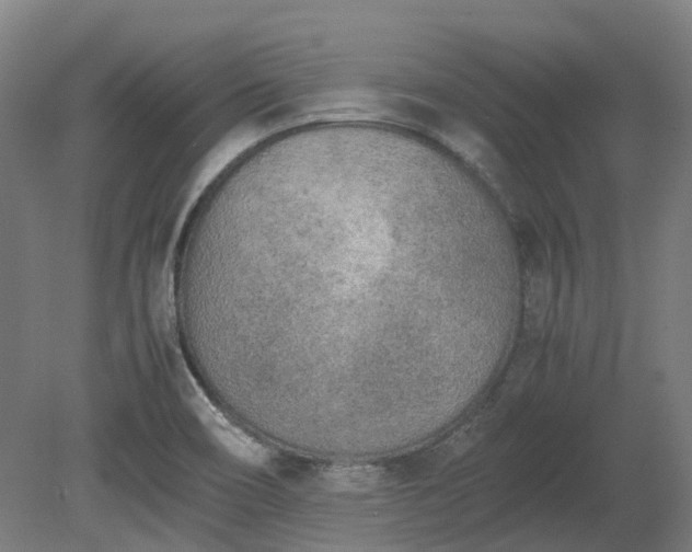 X0000080111466200612151634