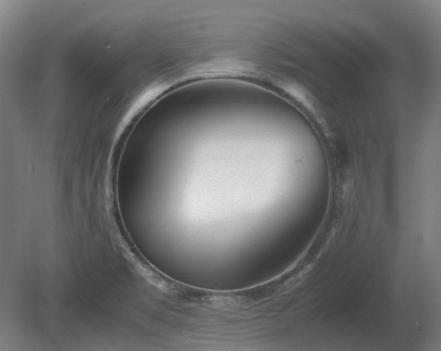 X0000080111469200612151634