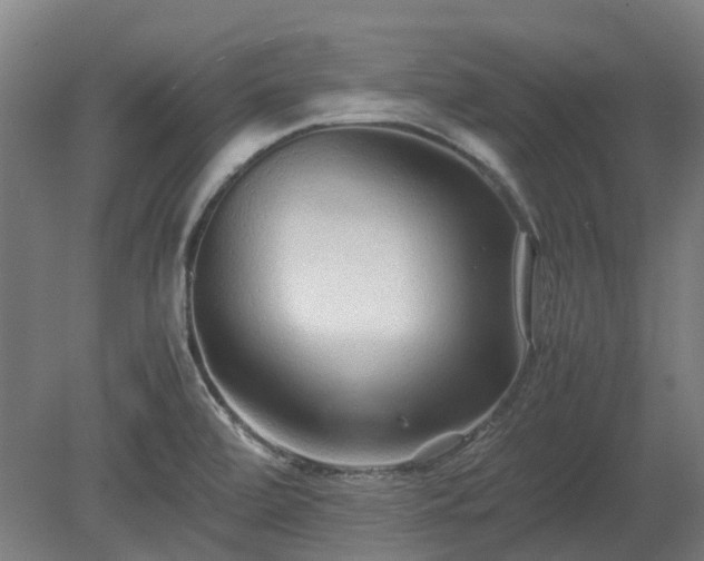 X0000080111472200612151634