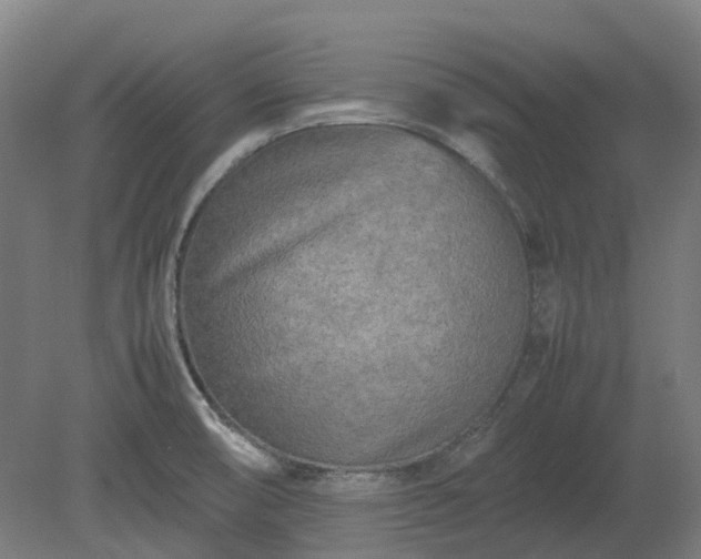 X0000080111474200612151634