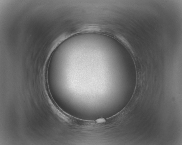 X0000080111475200612151634