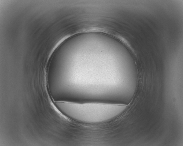 X0000080111476200612151634