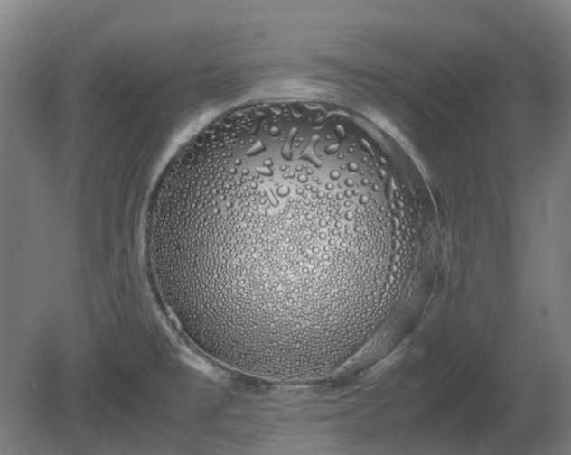 X0000080111477200612151634