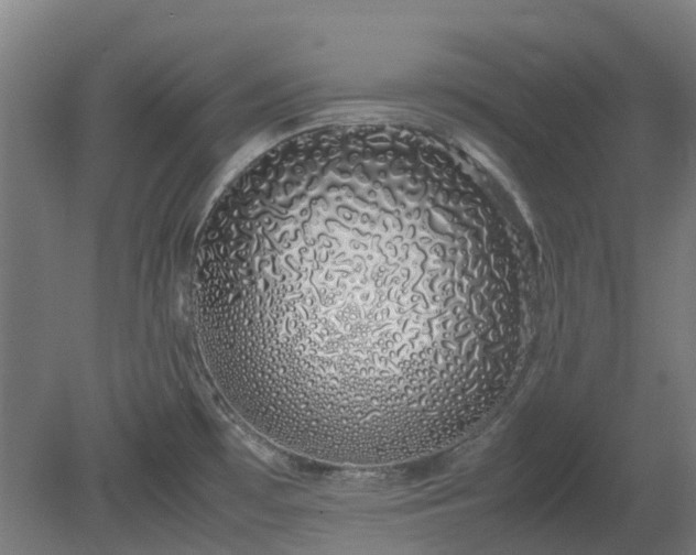 X0000080111481200612151634