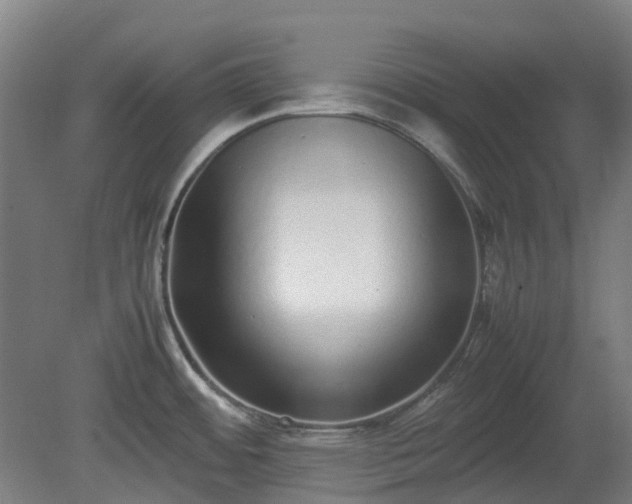 X0000080111484200612151634