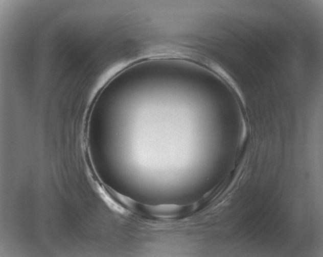 X0000080111485200612151634