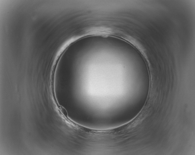 X0000080111488200612151634