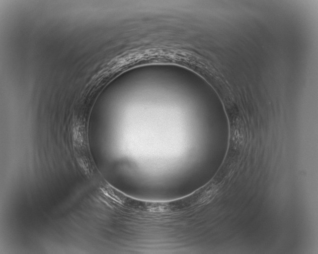 X0000080111490200612151633