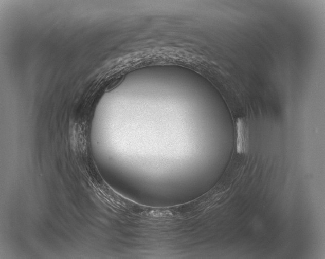 X0000080111491200612151633