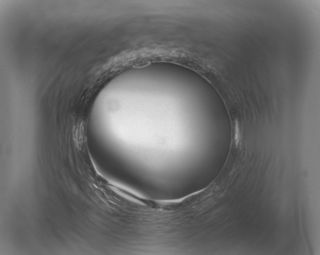 X0000080111492200612151633
