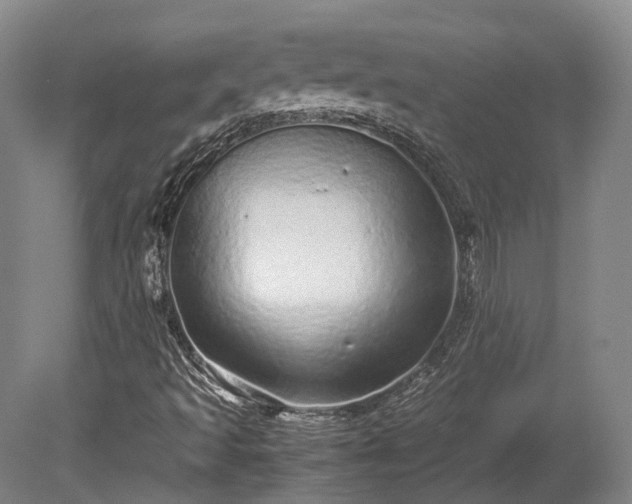 X0000080111493200612151633