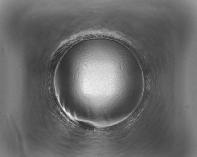 X0000080111494200612151633