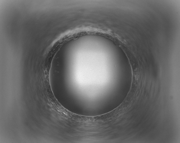X0000080111495200612151633