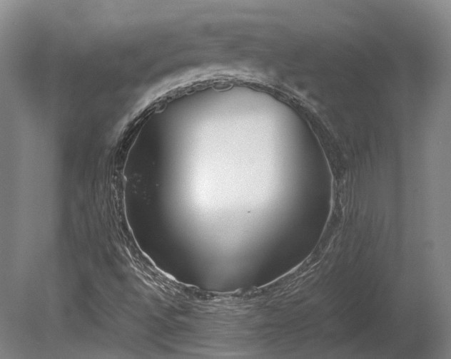 X0000080111496200612151633