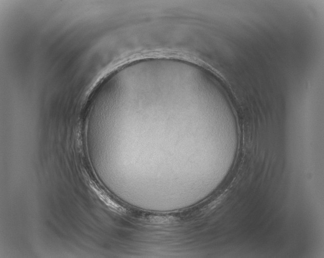 X0000080111498200612151633