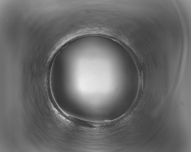 X0000080111500200612151633