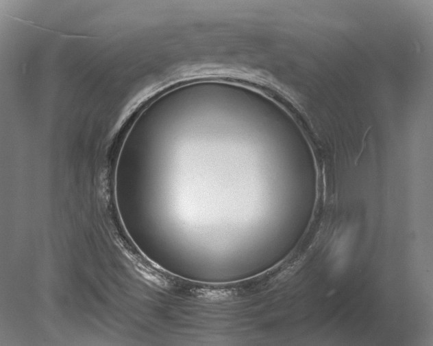 X0000080111501200612151633