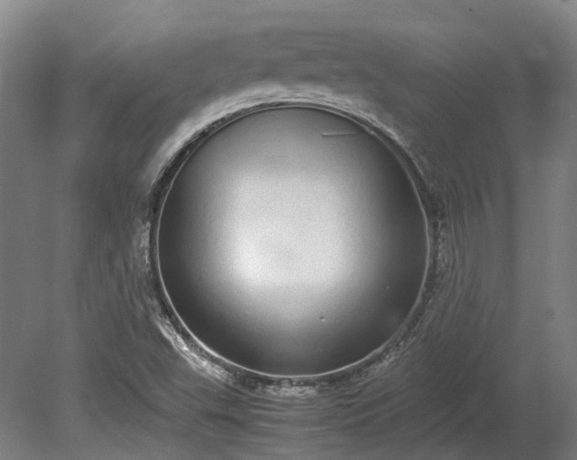 X0000080111503200612151633