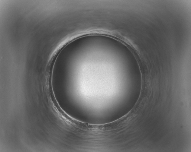 X0000080111504200612151633