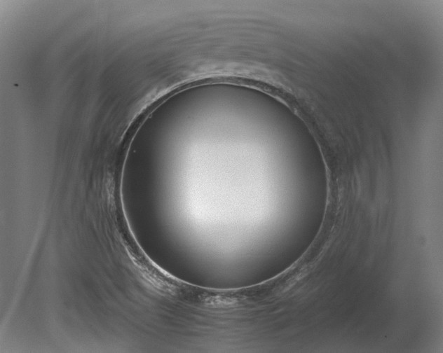 X0000080111505200612151633