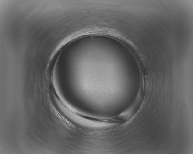 X0000080111506200612151633