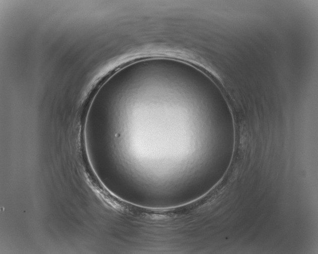 X0000080111507200612151633