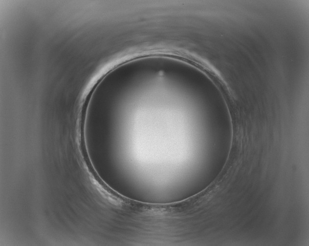 X0000080111512200612151633