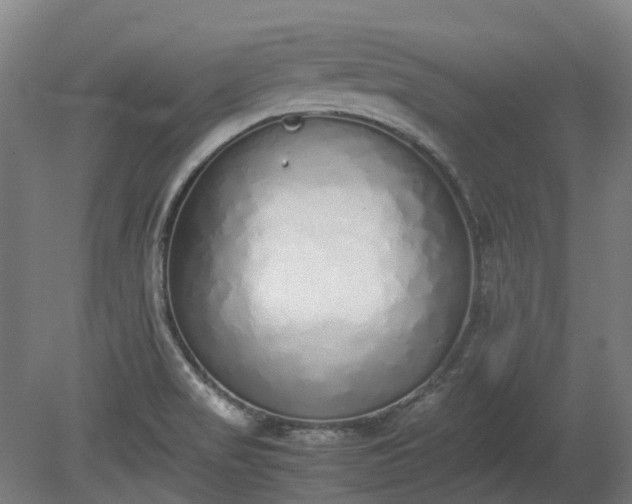 X0000080111517200612151633