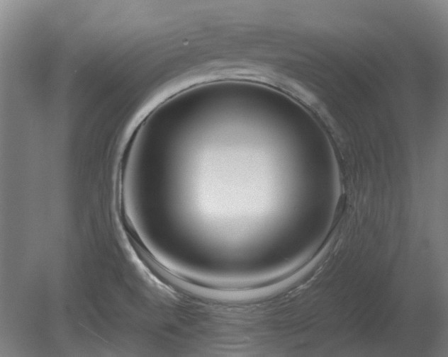 X0000080111520200612151633