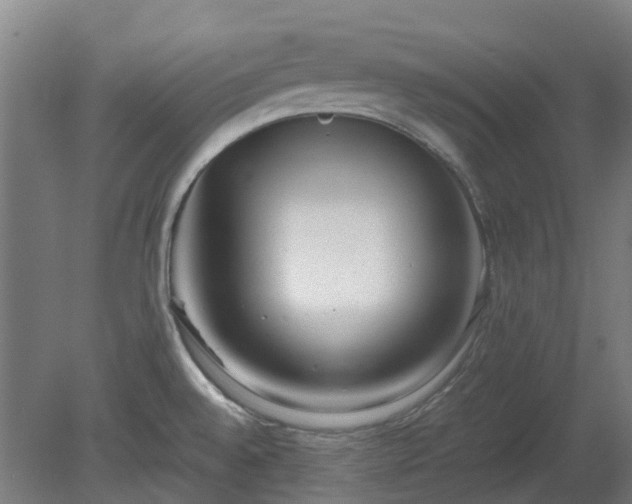 X0000080111528200612151634