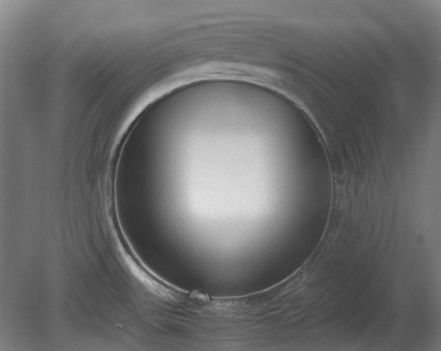 X0000080111531200612151634