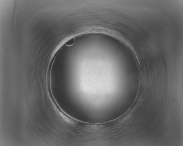 X0000080111533200612151634