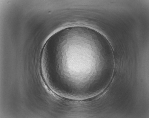 X0000080111534200612151634
