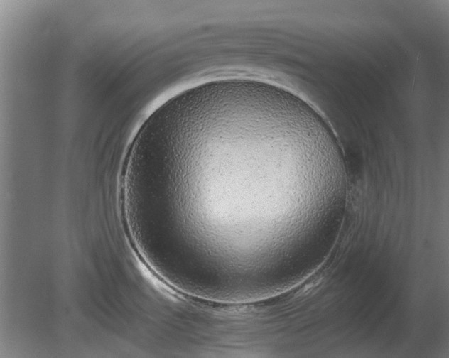X0000080111535200612151634
