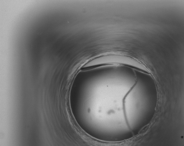 X0000080110001200612221817