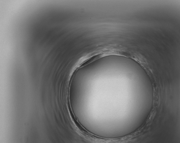 X0000080110003200612221817